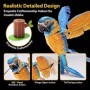Puzzle 3D National Geographic animale pe cale de disparitie Papagal Ara cu gat albastru 94 piese